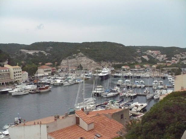 P1010576.JPG