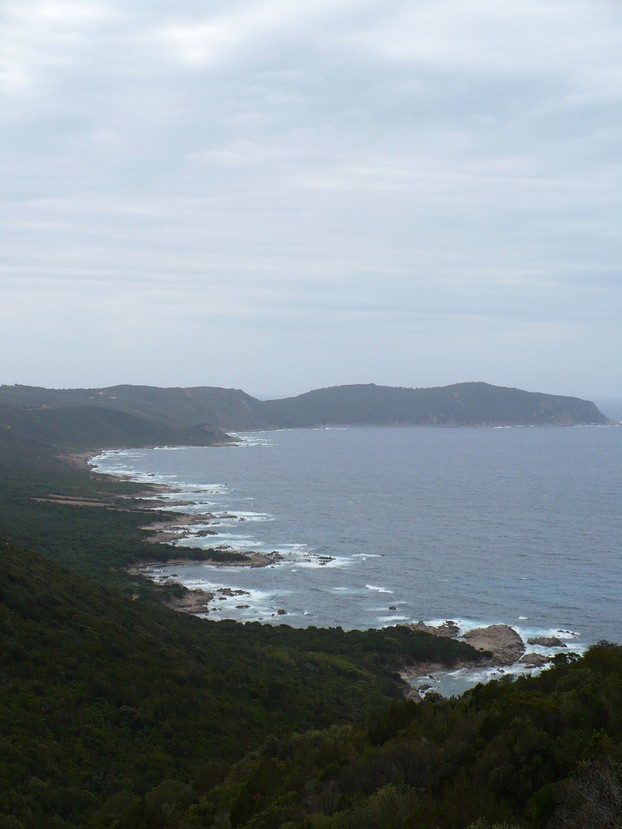 P1010706.JPG